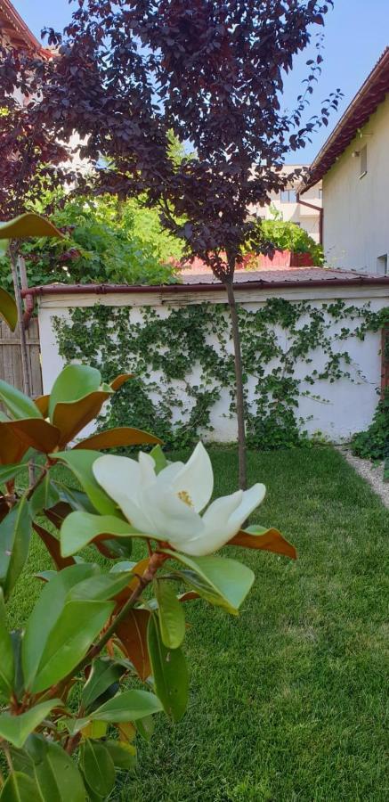 Casa Mir Năvodari Exterior foto